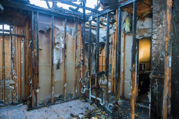 Professional Fire Damage Assessment technician working in Alexandria, VA
