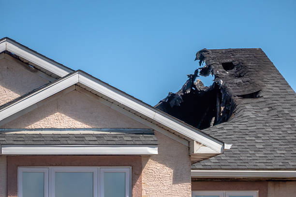 Top rated local Fire Damage Assessment specialists in Alexandria, VA